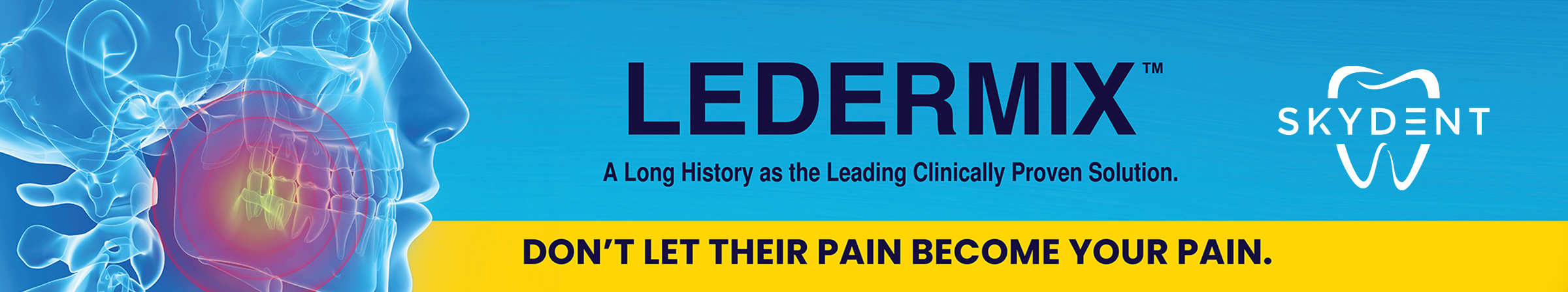 Ledermix Banner
