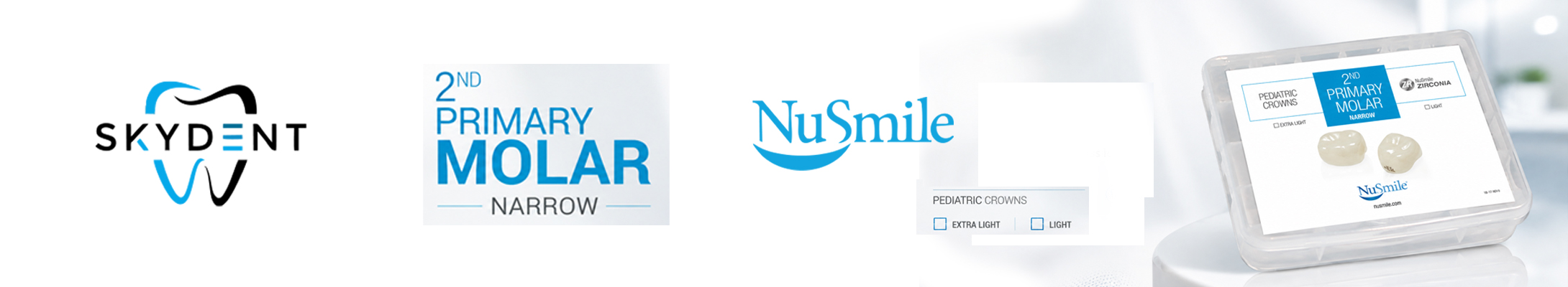 2nd Primary Molar narrow Banner
