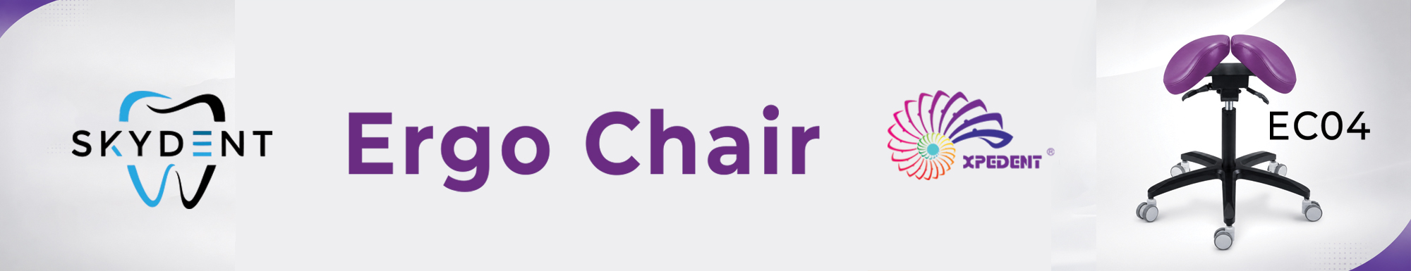 Ergo Chair EC04 Banner