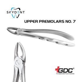 UPPER PREMOLARS NO. 7