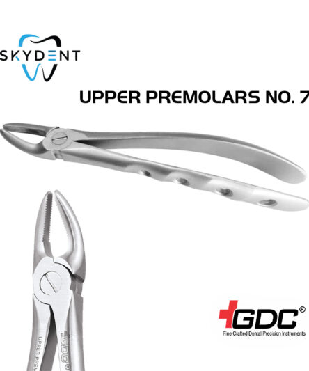 UPPER PREMOLARS NO. 7