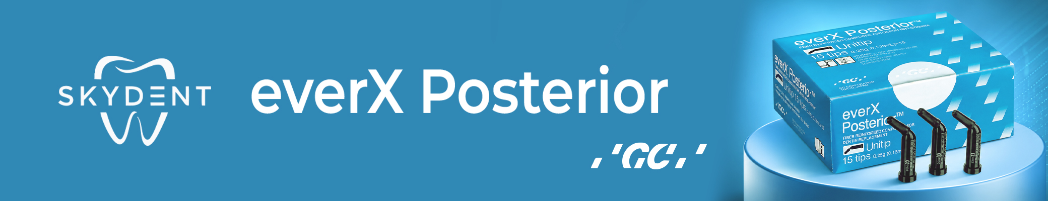 everX Posterior Banner