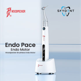 Endo Pace Endo Motor