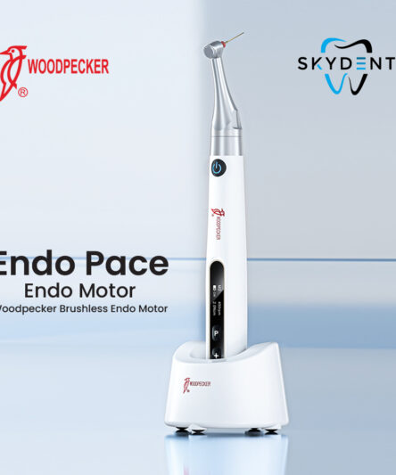 Endo Pace Endo Motor