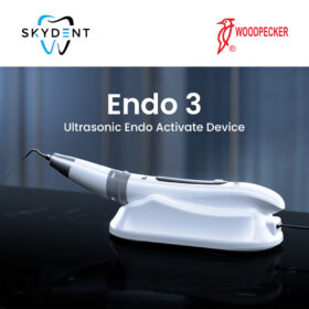 Endo 3