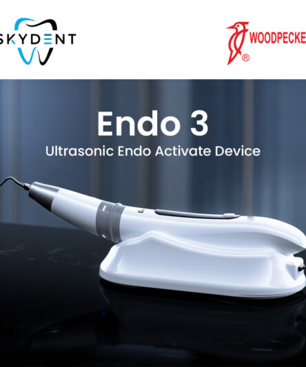 Endo 3