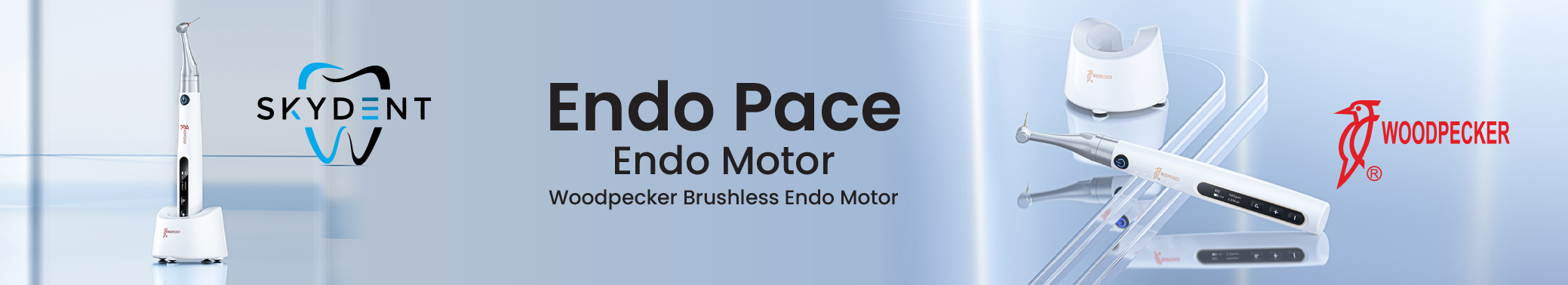 Endo Pace Endo Motor Banner