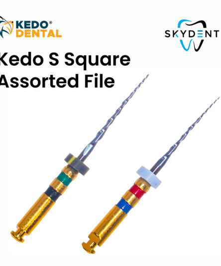 Kedo S Square  Assorted File