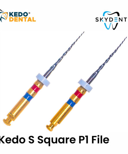 Kedo S Square P1 File