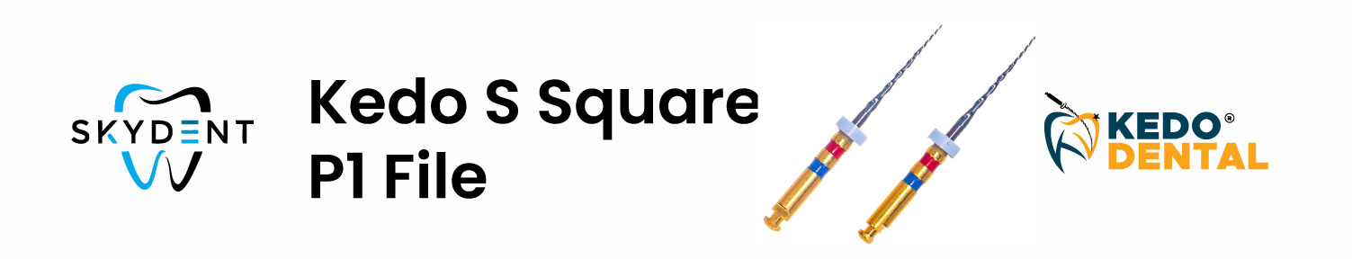 Kedo S Square P1 File Banner