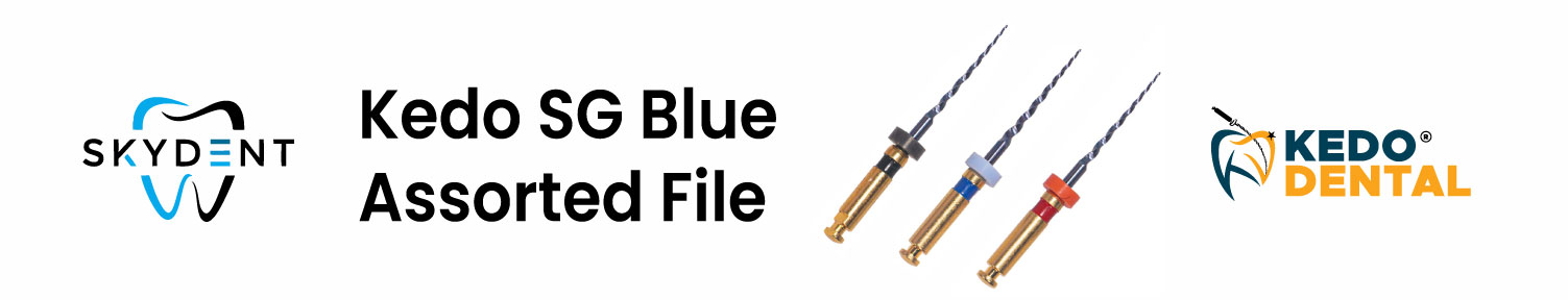 Kedo SG Blue Assorted File Banner