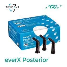 everX Posterior