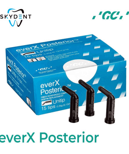 everX Posterior